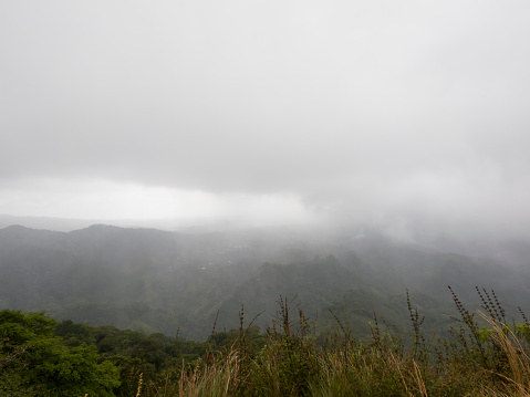 Hike along mountain trails to Cerro Turega in Panama