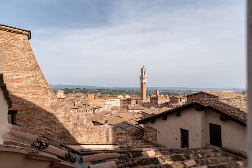 View over the roofs of Siena towards the Torre Magna, seen from the roof of the Siena cathedral, Italy