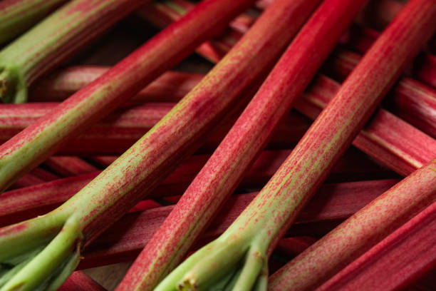 istock Fresh ripe rhubarb stalks as background, closeup 1910872934