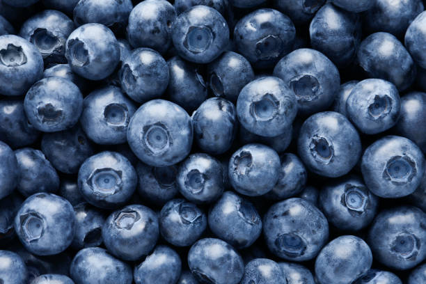 istock Tasty fresh blueberries as background, top view 1910895451