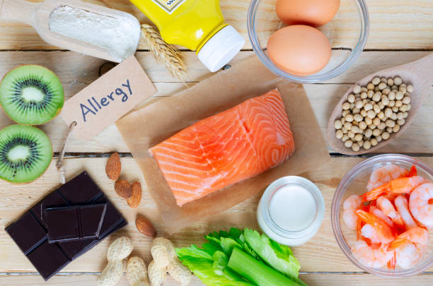 istock Composition with common food allergens including egg, milk, soya, nuts, fish, seafood, wheat flour, mustard, dried apricots and celery 1910908548