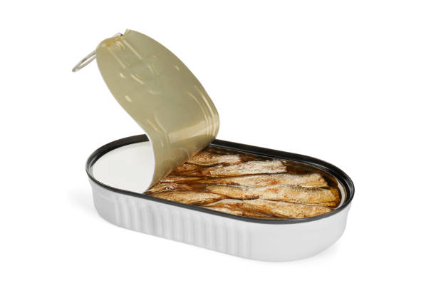 istock One tin can of sprats isolated on white 1910928721