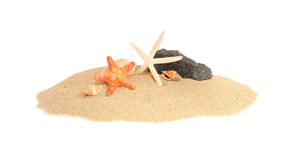 Beautiful sea stars, stone and seashells in sand isolated on white