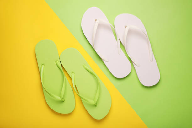 istock Different stylish flip flops on color background, flat lay 1911022564
