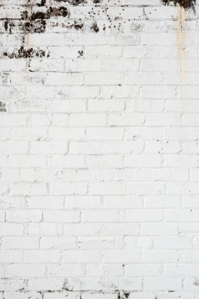 istock Part of a dirty old white brick wall with lichen 1911030554