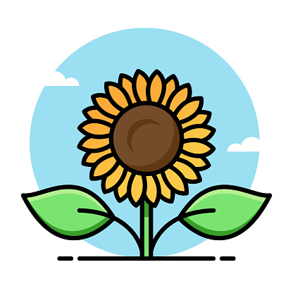 Vector illustration of a sunflower against a blue background in line art style.