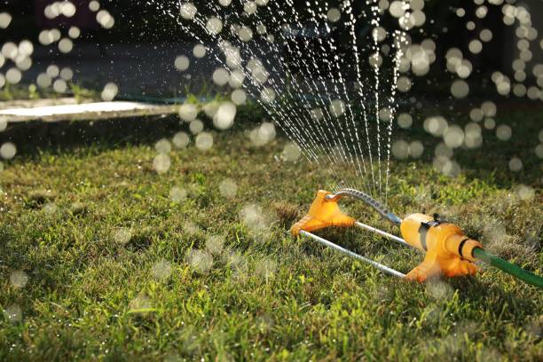 istock Automatic sprinkler watering green grass on sunny day outdoors. Irrigation system 1911052661