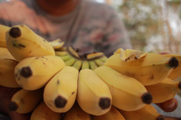 Banana Caramelada Fácil: Sobremesa Rápida e Deliciosa - receita deliciosa profissional - passo 2
