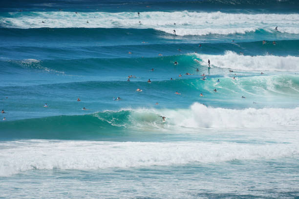istock Surfing waves in Australia 1911132643