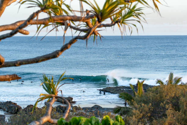 istock Surfing waves in Australia 1911137354
