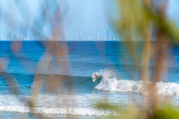 istock Surfing waves in Australia 1911137358