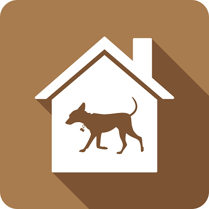Vector illustration of a house with small dog against a brown background in flat style.