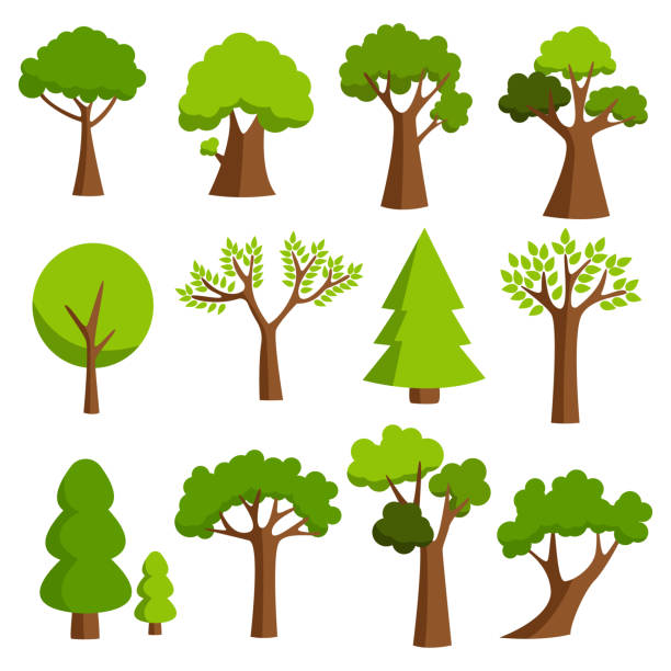 stockillustraties, clipart, cartoons en iconen met collection of trees. tree set isolated on white background. vector illustration. - boom