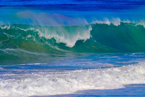 istock Monterey Bay, California 1911156315