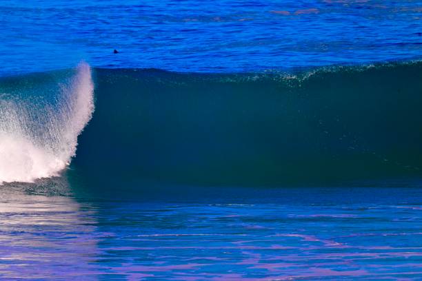 Monterey Bay is a bay of the Pacific Ocean located on the coast of the state of California.
