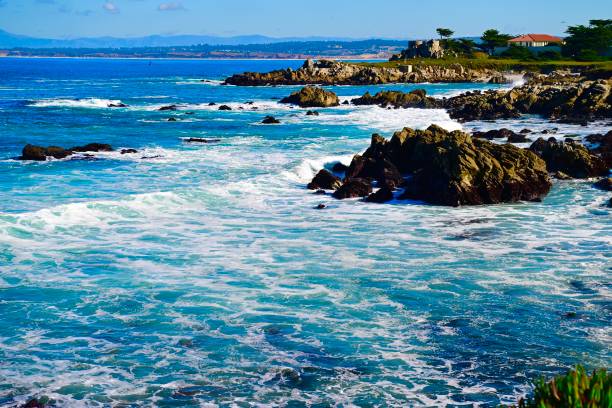 istock Monterey Bay, California 1911157084