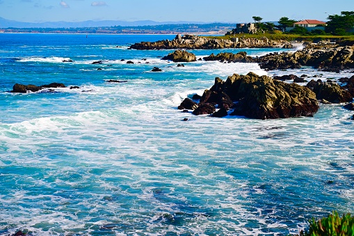 Panoramic view of the Pacific Coast from Goat Rock state park, Sonoma Coast, California, USA, from a high view point, on a sunny Summer day.