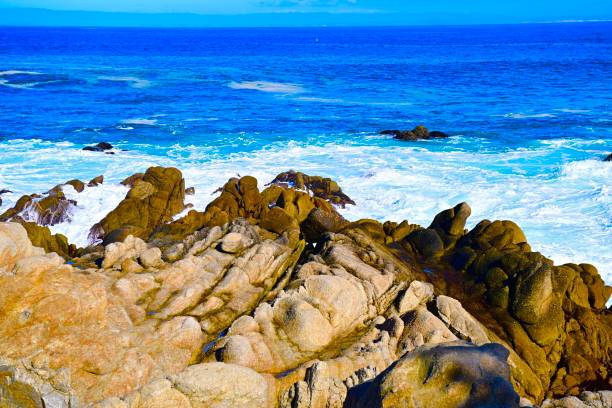 istock Monterey Bay, California 1911184616