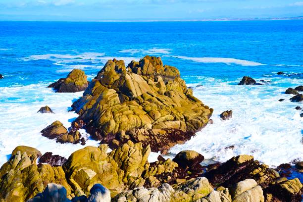 istock Monterey Bay, California 1911184656