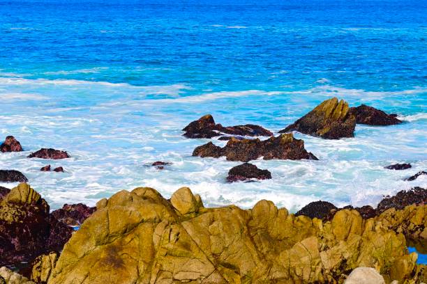 istock Monterey Bay, California 1911184659