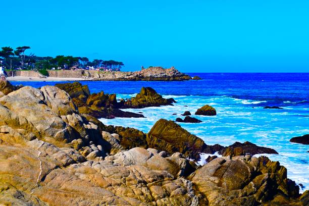 istock Monterey Bay, California 1911184954