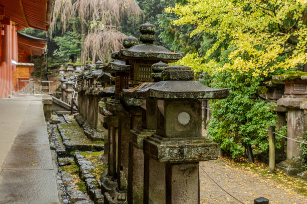2023-11-10 Nara Japan. Stone lanterns in a row at Kasuga Shrine in Nara, Japan
