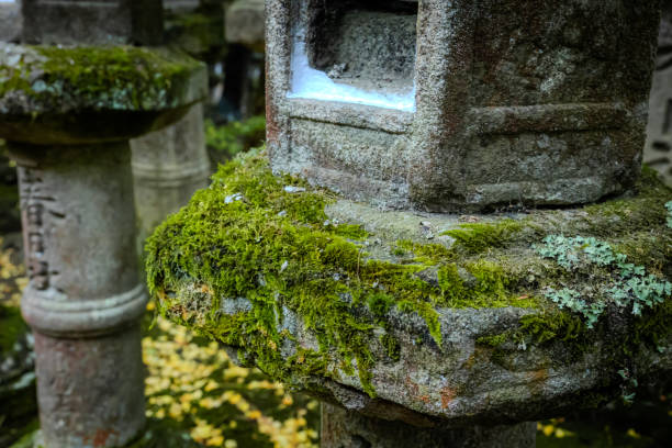 japanese green mossy brick in the garden