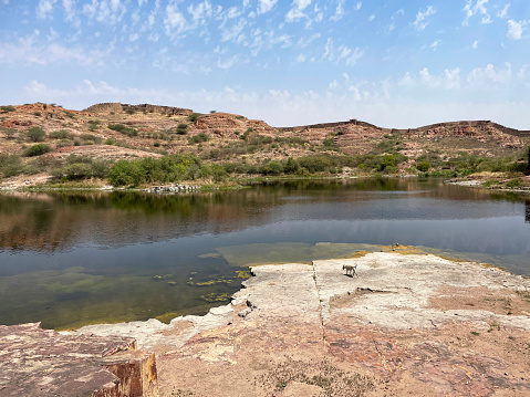 Stock photo showing lake at Rao Jodha Desert Rock Park, Jodhpur, Rajasthan, India.