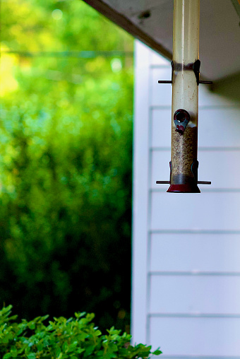 A partially empty bird feeder hanging on the porch of a residential home awaiting song birds to perch on it to feed.