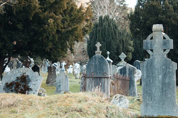istock old graves in the Shade of trees 1911267092