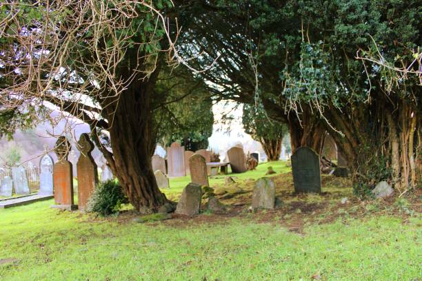 istock Celtic grave of glendalough 1911267633