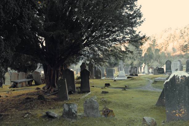 istock Celtic grave of glendalough 1911267639
