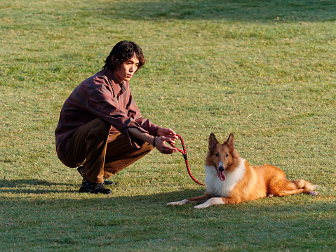 Portrait of handsome Chinese young man with curly hair squat with his rough collie dog on green grass field in sunny day, male fashion, cool Asian young man lifestyle, harmony man and pet.