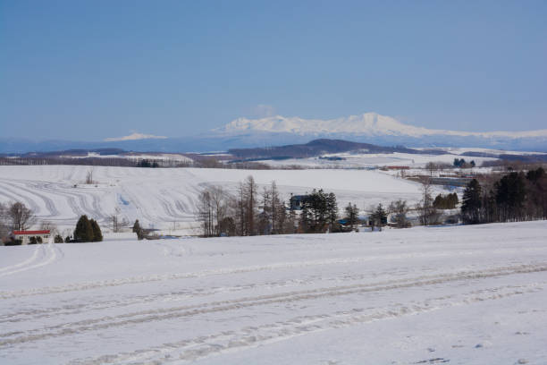 istock Snow fields sprinkled with snow-melting agent and mountains 1911350755
