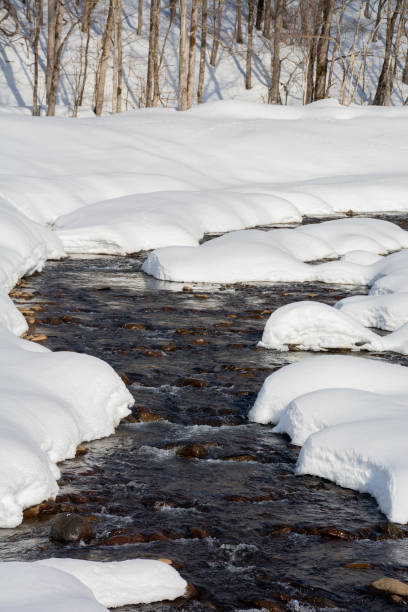 snow melting river in the moutain - hokkaido japan stream forest 뉴스 사진 이미지