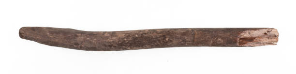 istock old broken wooden stick isolated on white background 1911374206