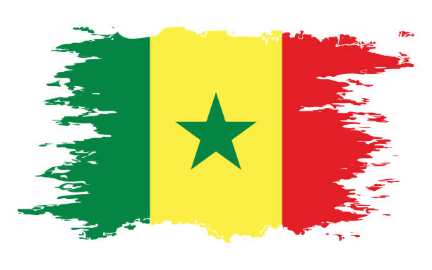 senegal flagge grunge pinsel farbe bild vektor - senegal flag dirty africa stock-grafiken, -clipart, -cartoons und -symbole