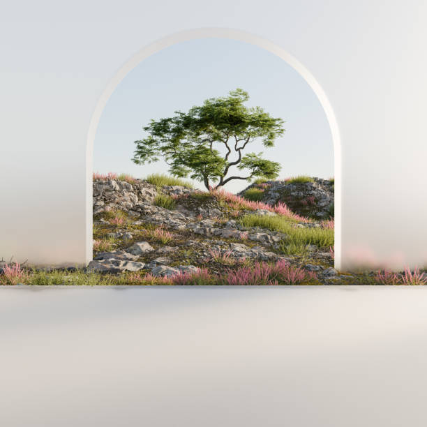istock Rocky hill with a tree and pink flowers under an archway 1911439999