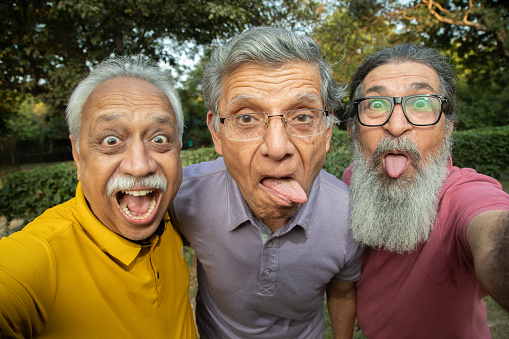 Portrait of carefree playful senior male friends making faces while enjoying weekend together in garden