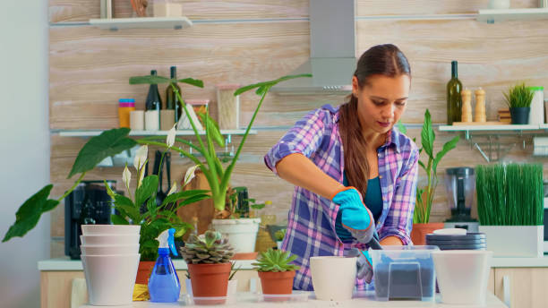 istock Pouring soil into a white flowerpot 1911484022