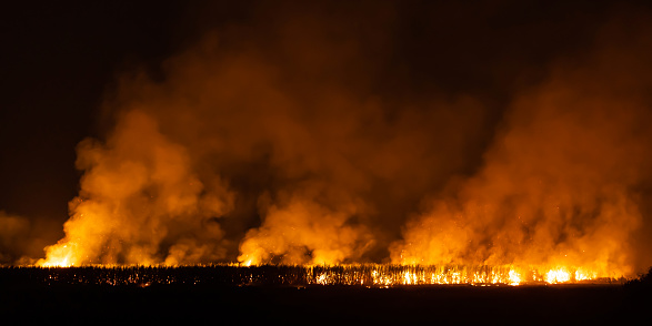 Fire at night, burning the farm at night, with a group of smoke rising into the air.