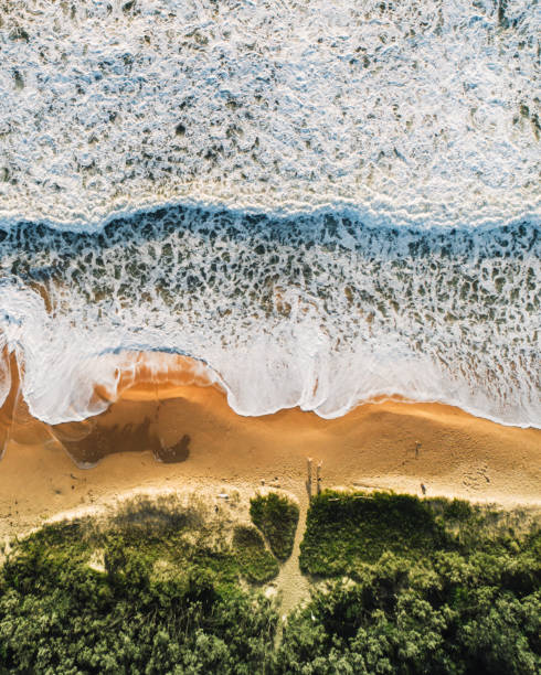 istock Aerial of Wurtulla 1911533455