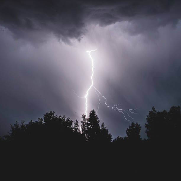 istock beautiful lightning during a thunderstorm at night in a forest that caused a fire, against a dark sky with rain 1911539687