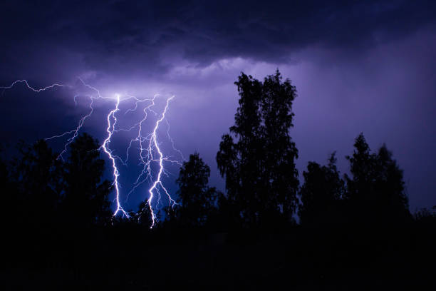 istock beautiful lightning during a thunderstorm at night in a forest that caused a fire, against a dark sky with rain 1911539691
