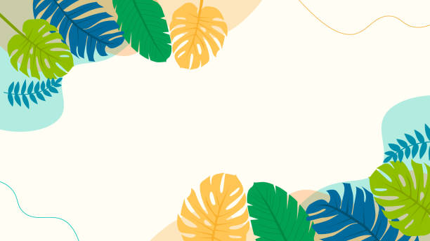 istock Summer abstract background and banner with tropical palm leavescolorful bright cheerful hello summer 1911542842