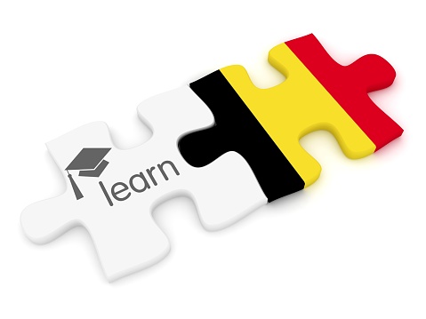 Learn Dutch Flemish language foreign translate e-learning puzzle