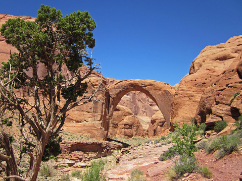 The breathtakingly beautiful scenery of Kanarra Falls near Zion National Park in southern Utah.