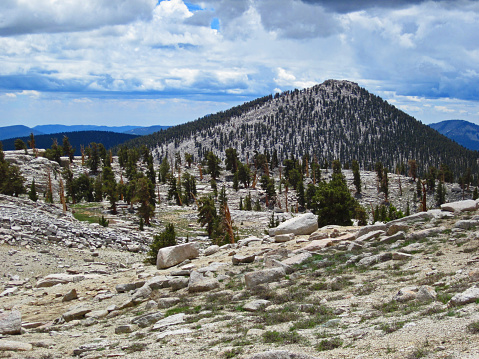 Top of 11371ft Johnson Peak in the Golden Trout Wilderness Area as seen from the Boreal Plateau.