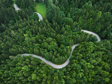 Idyllic winding road in spring. Aerial view.