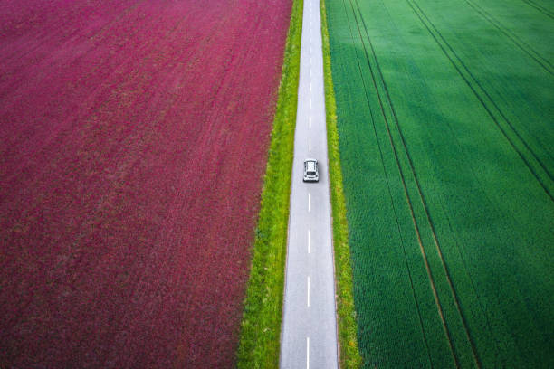 다채로운 풍경 속에서 운전 - car aerial 뉴스 사진 이미지